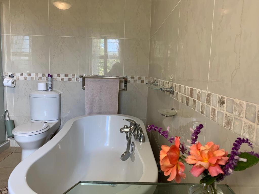 Mountain Rose Guesthouse Louis Trichardt Exteriér fotografie